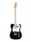 HEG350BK Электрогитара Telecaster SS Homage HEG350BK - фото 3700