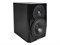 Dynaudio LYD 5 B/B Студийный монитор LYD 5 B/B - фото 37032