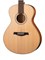 Parkwood S23-GT Акустическая гитара, цвет натуральный, с чехлом S23-GT