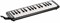 HOHNER Student 32 Black - Мелодика C943211 - фото 37416