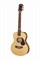 Maton EMTE Электроакустическая гитара EMTE - фото 37456