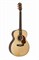 Maton EM100J Электроакустическая гитара EM100J - фото 38235