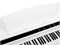 Aurora AU140-WH Цифровое пианино со стойкой, белое AU140-WH