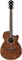 Ibanez AEG61-NMH - Электроакустическая гитара AEG61-NMH - фото 38465