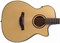 CRAFTER HT-250 CE/N - Гитара электроакустическая HT-250CE/N