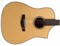 Covenant 150DVNTE гитара трансакустическая с чехлом. 150DVNTE+