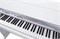 NUX NCK-330-WH Цифровое пианино на стойке с педалями, белое NCK-330-WH