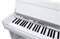NUX NCK-330-WH Цифровое пианино на стойке с педалями, белое NCK-330-WH