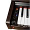 NUX WK-400 Цифровое пианино на стойке с педалями, темно-коричневое WK-400