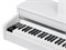 Aurora AU110-WH Цифровое пианино, белое AU110-WH