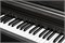 Kurzweil CUP E1 BK Цифровое пианино CUP E1 BK