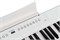 Artesia A61 White Цифровое фортепиано A61 White
