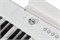 Artesia A61 White Цифровое фортепиано A61 White