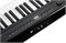 Artesia A61 Black Цифровое фортепиано A61 Black