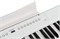 Artesia A61 Black Цифровое фортепиано A61 Black