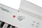 Artesia Performer White Цифровое фортепиано Performer White