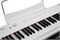 Artesia Performer White Цифровое фортепиано Performer White