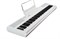Artesia Performer White Цифровое фортепиано Performer White