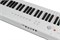 Artesia Performer White Цифровое фортепиано Performer White