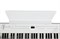 Artesia PE-88 White Цифровое фортепиано PE-88 White