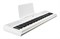 Artesia PE-88 White Цифровое фортепиано PE-88 White