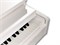 Artesia A100 WH Цифровое фортепиано A100 WH
