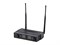 Soundsation WF-D290HH Беспроводная микрофонная система, 2 ручных передатчика WF-D290HH