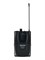 Soundsation WF-D290HP Беспроводная микрофонная система, ручной и головной микрофон WF-D290HP