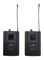 Soundsation WF-U2302PP Беспроводная микрофонная система, 2 головных микрофона WF-U2302PP