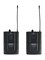 Soundsation WF-U216PP Беспроводная микрофонная система, 2 головных микрофона WF-U216PP