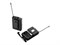 Soundsation WF-U216PP Беспроводная микрофонная система, 2 головных микрофона WF-U216PP