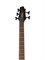 Cort Action-DLX-V-AS-WBAG-OPN Action Series Бас-гитара 5-струнная, с чехлом Action-DLX-V-AS-WBAG-OPN