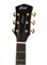 Cort Gold-DC6-WCASE-NAT Gold Series Акустическая гитара, цвет натуральный, с чехлом Gold-DC6-WCASE-NAT