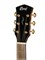 Cort Gold-A6-Bocote-WCASE-NAT Gold Series Электроакустическая гитара, цвет натуральный, с чехлом Gold-A6-Bocote-WCASE-NAT