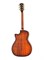Cort TheBlackTree-LE-WCASE-LBS Limited Edition Электроакустическая гитара, с футляром TheBlackTree-LE-WCASE-LBS