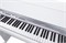 NUX NCK-330-WH Цифровое пианино на стойке с педалями, белое NCK-330-WH