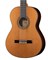 Alhambra 819-9P Classical Concert 9P Классическая гитара, с футляром 819-9P