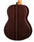 Alhambra 819-9P Classical Concert 9P Классическая гитара, с футляром 819-9P