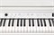 Kurzweil CUP G1W WHP Цифровой рояль, 88 молоточковых клавиш, полифония 256, цвет белый CUP G1W WHP