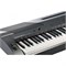 Kurzweil KA90 LB Цифровое пианино KA90 LB