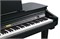 Kurzweil KAG100 EP Цифровой рояль, 88 клавиш, цвет чёрный KAG100 EP