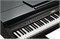 Kurzweil KAG100 EP Цифровой рояль, 88 клавиш, цвет чёрный KAG100 EP