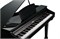 Kurzweil KAG100 EP Цифровой рояль, 88 клавиш, цвет чёрный KAG100 EP