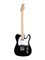 Homage HEG350BK Электрогитара Telecaster SS HEG350BK