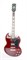 Swing SG-100-WR Электрогитара SG-100-WR