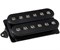 DiMarzio DP166BK The Breed Bridge звукосниматель, хамбакер, черный DP166BK