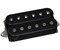 DiMarzio DP256BK Illuminator™ Neck звукосниматель хамбакер, чёрный DP256BK