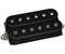 DiMarzio DP255BK Transition™ Bridge звукосниматель, хамбакер черный DP255BK