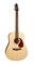 Seagull 029549 Coastline Spruce QIT Электро-акустическая гитара 029549