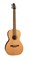 Seagull 029259 Coastline Grand QIT Электро-акустическая гитара 029259